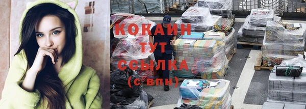 тгк Инсар