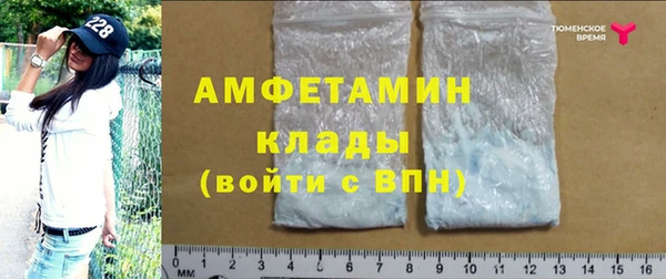 тгк Инсар