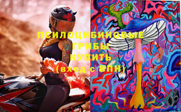 PSILOCYBIN Абинск